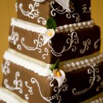 terrapin_wedding_expo_by_jennifer_may-5411