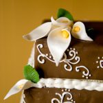 terrapin_wedding_expo_by_jennifer_may-5412
